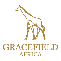 Gracefield Africa